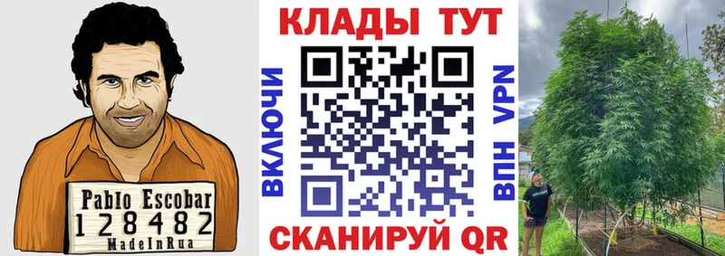 Цена Пустошка COCAIN  Конопля  Меф  Гашиш 