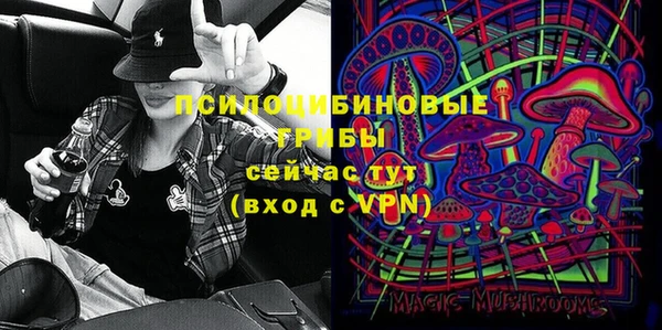 ПСИЛОЦИБИНОВЫЕ ГРИБЫ Арсеньев