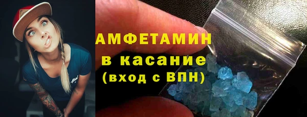 прущие грибы Аркадак