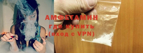 прущие грибы Аркадак