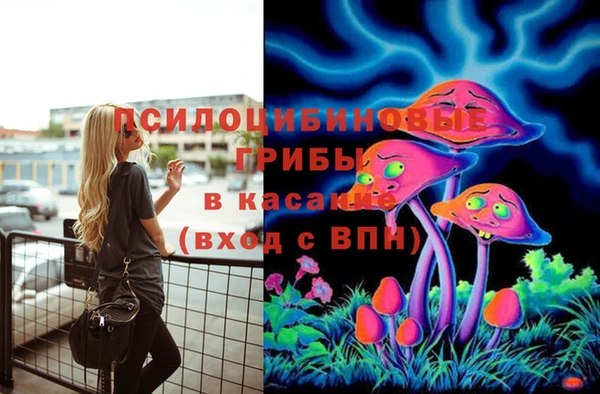 дмт Армянск