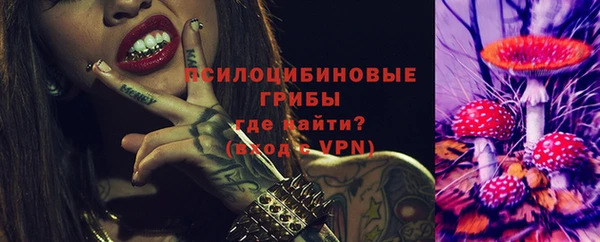 ПСИЛОЦИБИНОВЫЕ ГРИБЫ Арсеньев