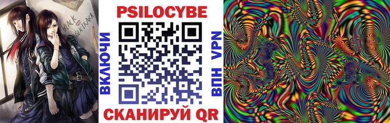 Псилоцибиновые грибы Psilocybine cubensis  Пустошка 